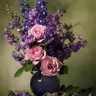 攻击网站的方法